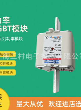 全新熔断器保险丝NH2GS69V200PV NH2GS69V250PV NH2GS69V315PV