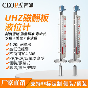 高温高压衬四氟不锈钢304远传 侧装 磁性液位计 顶装 磁翻板液位计