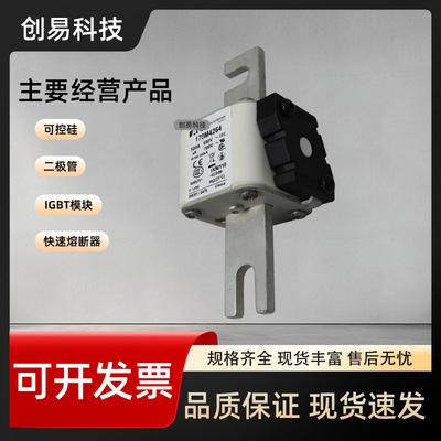 170M4264 170M4265 170M4266 170M4267 170M4268 170M4269 熔断器