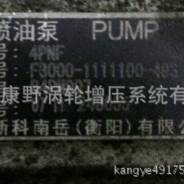喷油泵F3000-B4PM907A3和4PM125A和1PG301-1111100B4PN98T10A