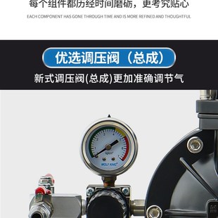 15气动隔膜泵大功率耐腐蚀加厚不锈钢增压泵油漆喷漆泵 蓝牌A