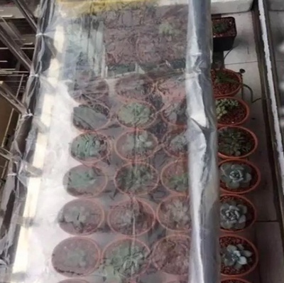 现货速发5农米7米8米米米10米12米宽塑料G薄膜加厚大棚膜保温布透