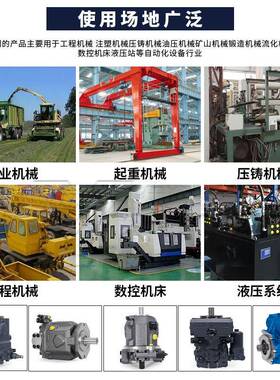 Rexro4t变OEB量柱塞泵A10VSO18/10hA4VG/AVSO12A115VO液压油泵