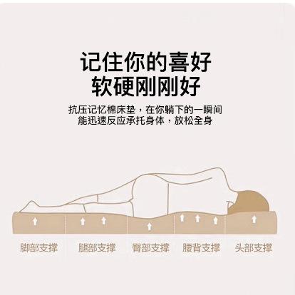 夏天乳胶床垫家用软垫榻榻米租房专用海绵垫宿舍学生单人折叠1258