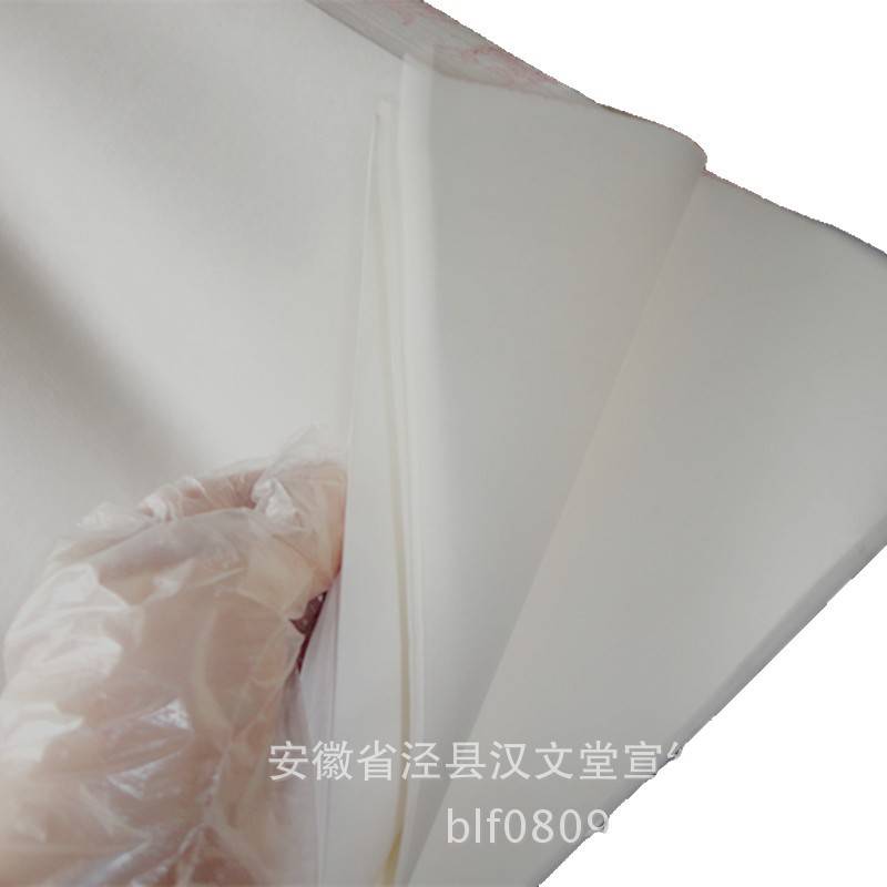宣纸 三尺生宣宣纸手工纸特种净皮檀皮宣学生练习创作专用纸