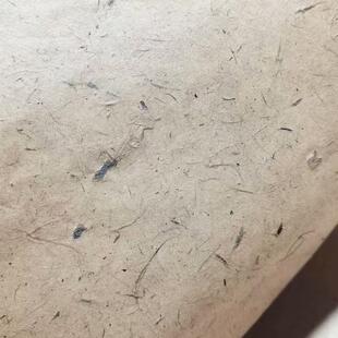 加厚桑皮宣纸纯专皮画植sq644724物篆魏碑用投展参隶赛作品纸书国