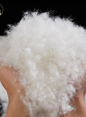 95白鸭寝具标准高高清洁蓬松朵95羽绒大被填充物绒HT-CBQY9轻奢羽