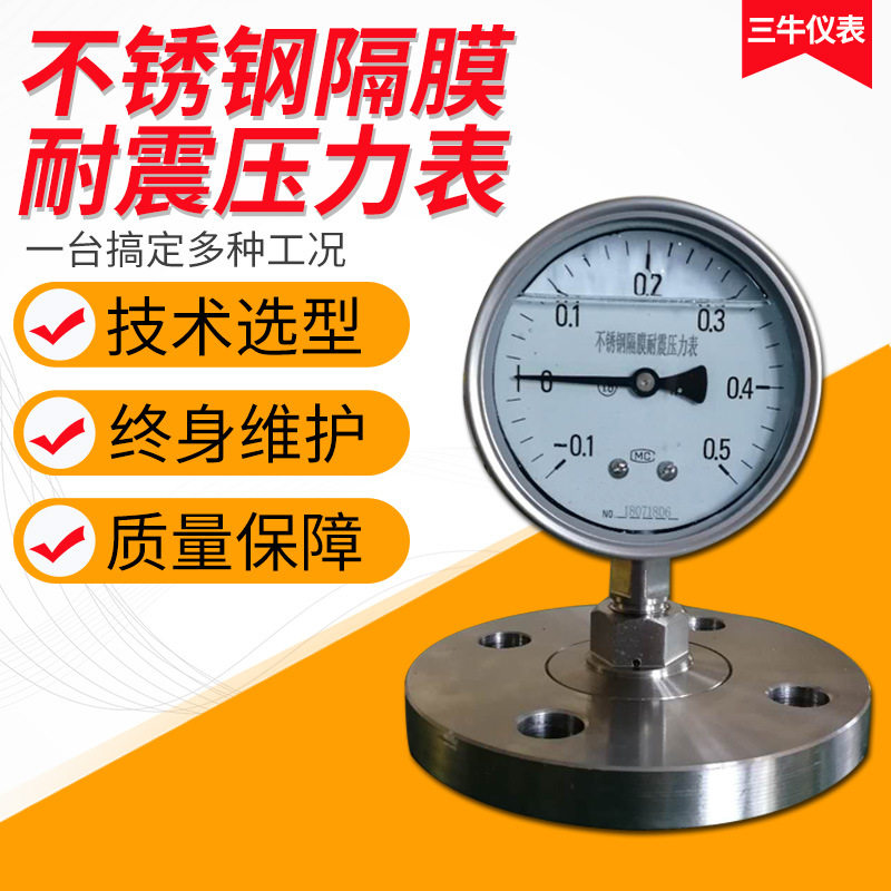 不锈钢隔膜耐震压力表/TMF耐震隔膜式压力表/厂家图片