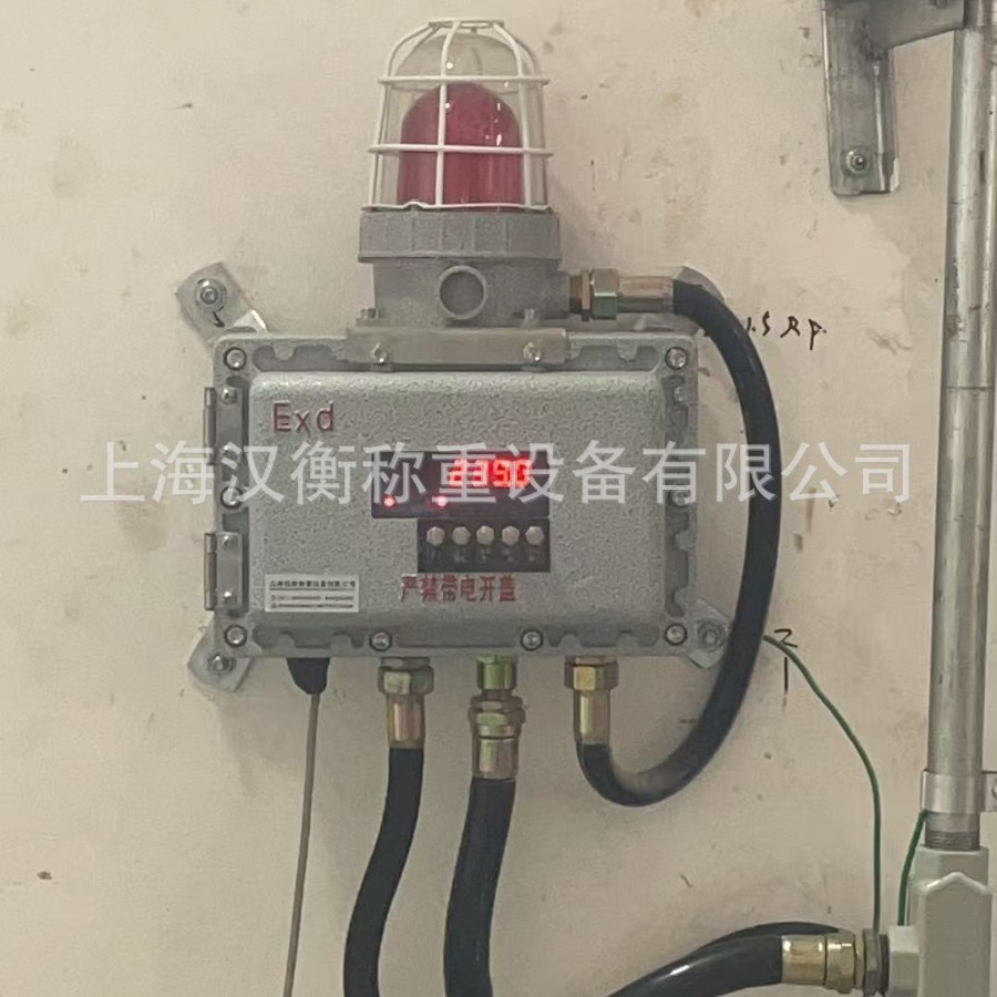 3吨防爆壁挂温控报警仪表