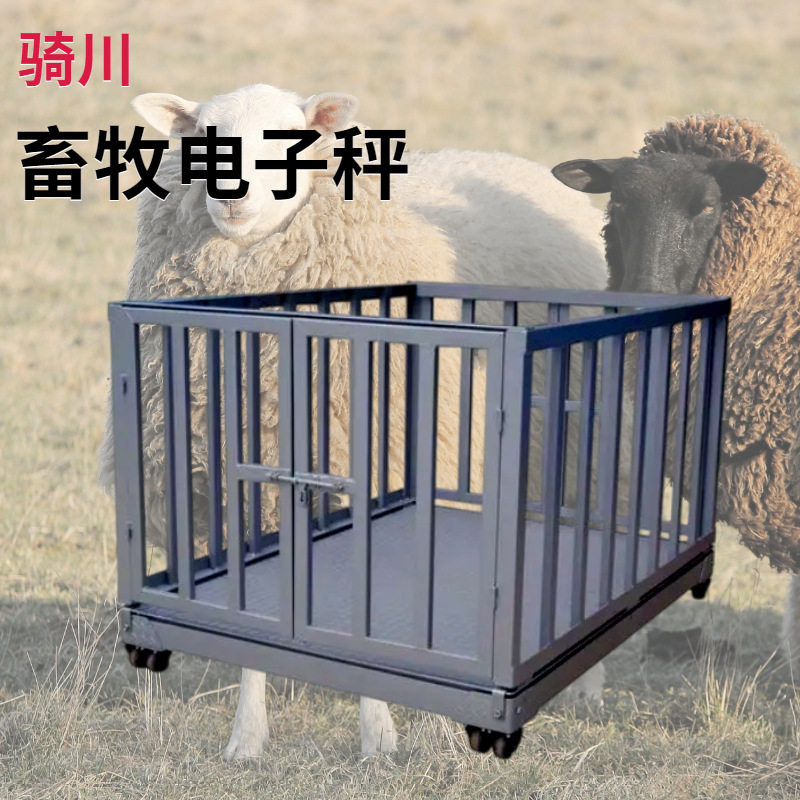 猪场养户1m*2m围栏电子地磅
