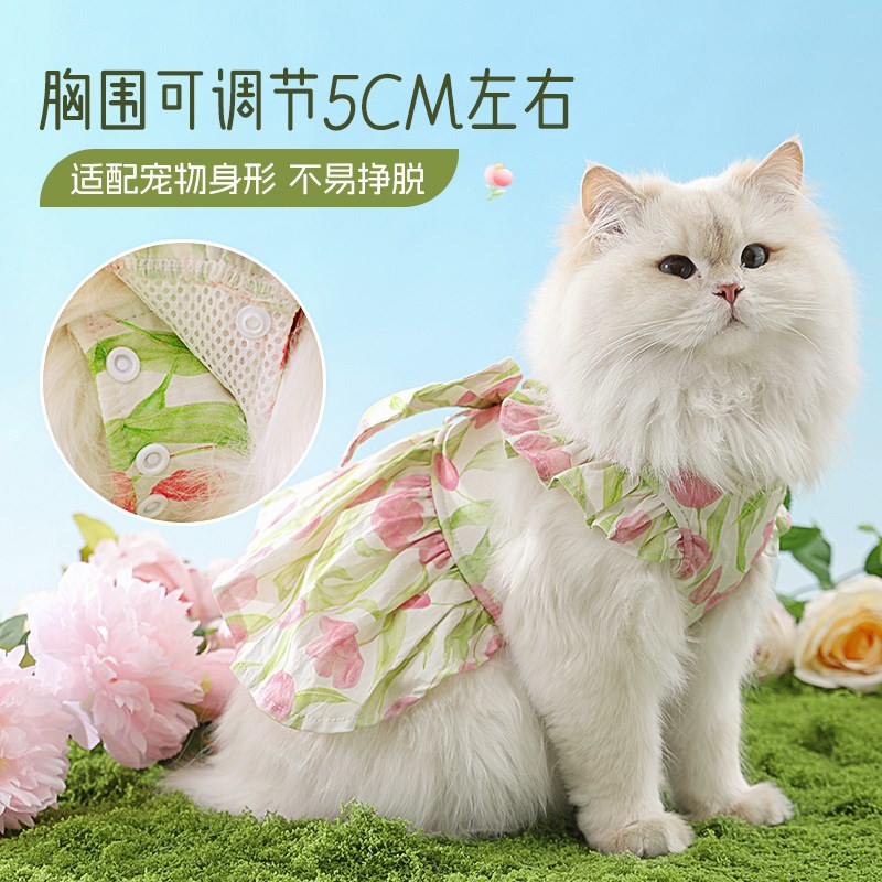猫咪衣服牵引绳德文猫裙子宠物幼猫布偶I公主裙狗狗夏天防掉毛薄