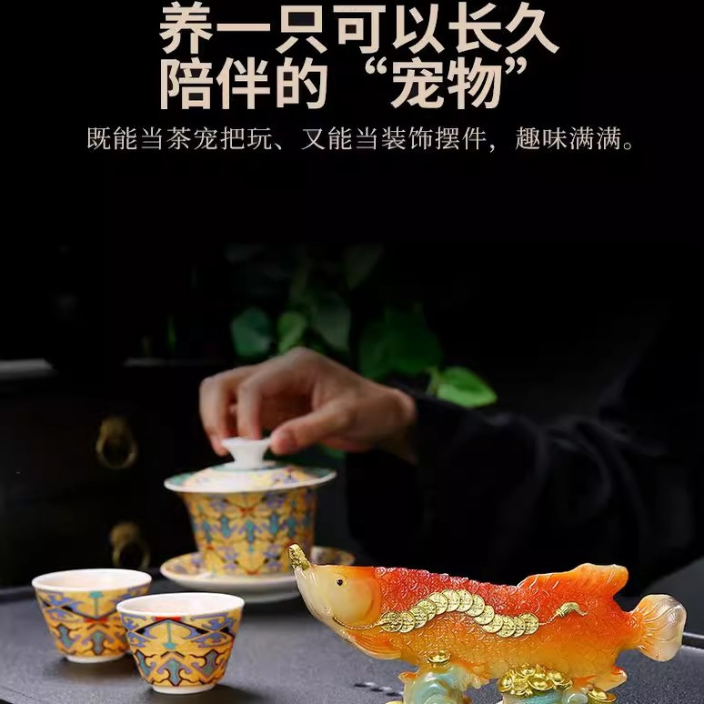 变色可养吉祥招财金鱼茶宠