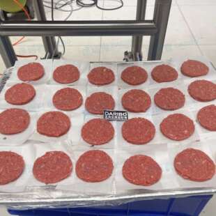 汉堡肉饼成型机 全自动汉堡肉饼机 W肉饼成型机 肉制品肉饼成型机