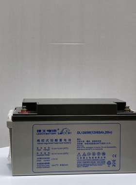 理士蓄电池LEOCH免维护蓄电池12V65AH理士DJM1265SUPS电源EPS直流