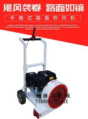 CF160型手推地面吹风机汽油落叶吹扫机马路吹灰吹沙机大棚吹雪机