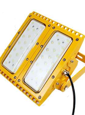 RLEEXL5333 防爆LED投光灯 300W350W400W450W500W600W1000W1200W