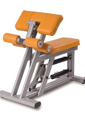 三飞TR801液压循环二三头肌练习机 中老年人社区健身房训练器