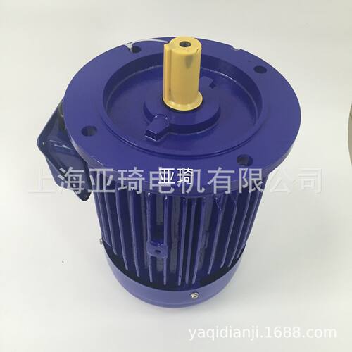 AEVF71-6-0.37KW-1/2HP地板机电机轴径14mm立式