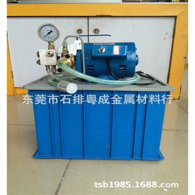 电动60kg压力试压泵/打压泵/打压机模具运水机