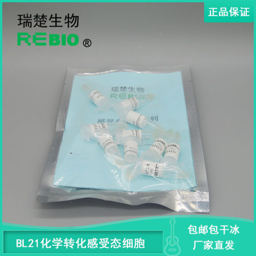 包邮包干冰BL21化学转化感受态细胞10×100μl科研用途