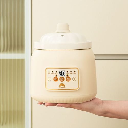 婴儿辅食炖粥锅宝宝煮粥锅专用锅小电炖锅bb煲煮粥电炖盅1-2人份