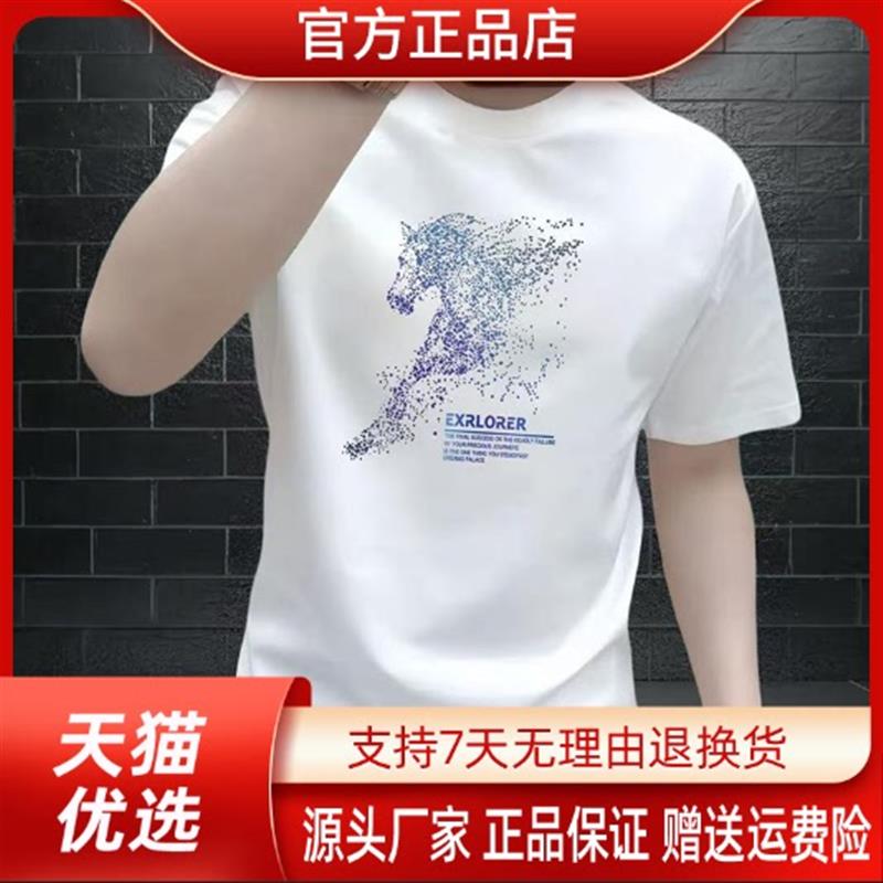 枫善服饰夏季薄款索罗娜棉质凉感男版新款潮牌短袖时尚百搭圆领