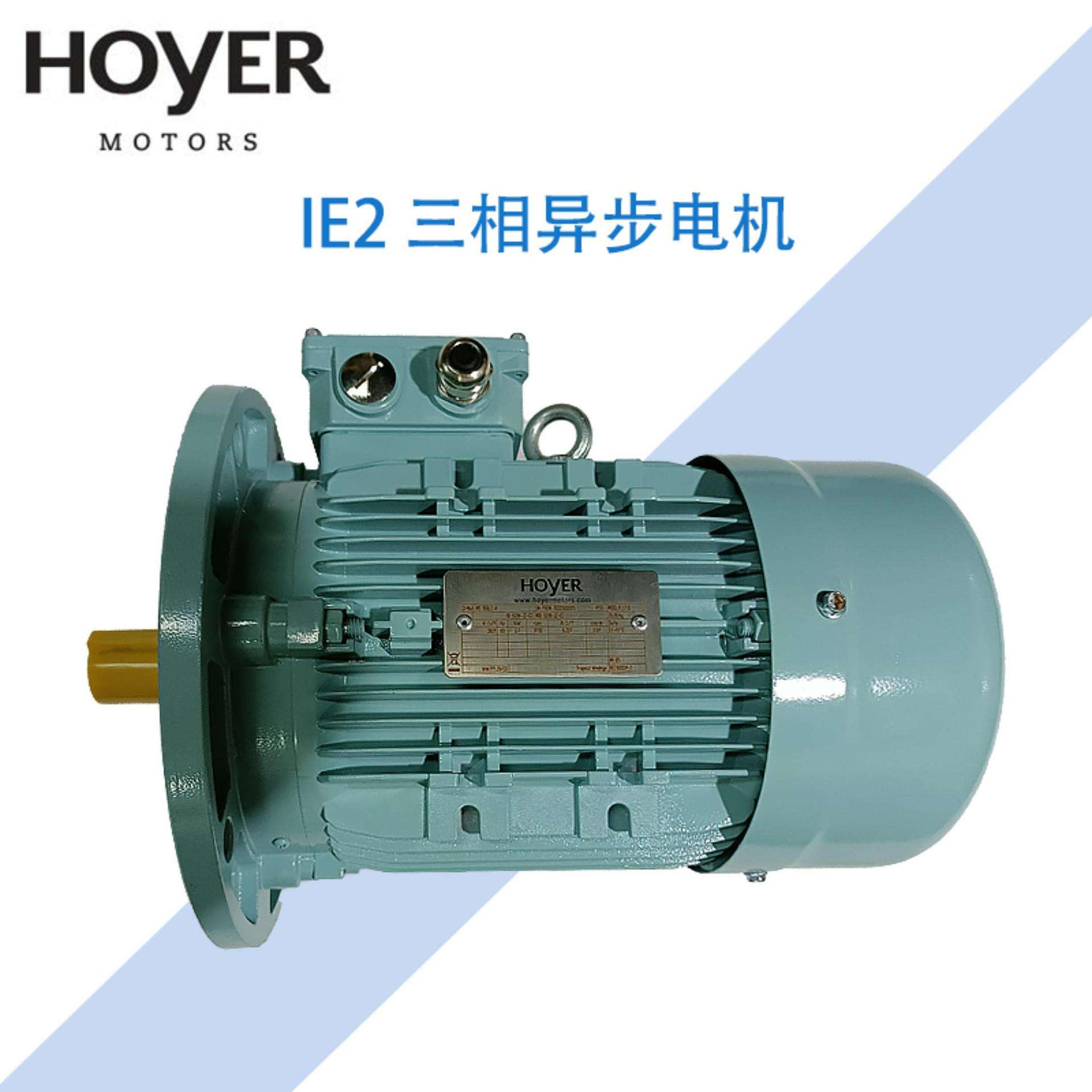 巴西WEG拉斐特LAFERT拉莫斯LAMMERS HOyER霍尔三相异步交流电动机