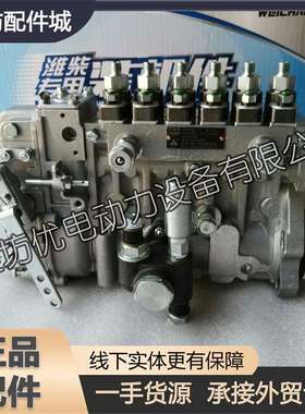 13057958柴油泵 高压油泵潍柴226B道依茨WP4柴油发动机WP6原厂件