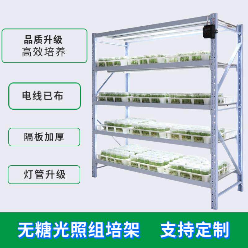 实验室组培架LED灯育苗光照培养架植物组织培养兰花无糖组培套装