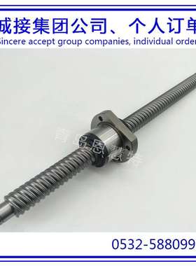 THK高扭矩型滚柱花键LBS15 LBS20 LBS25 LBS30丝杠