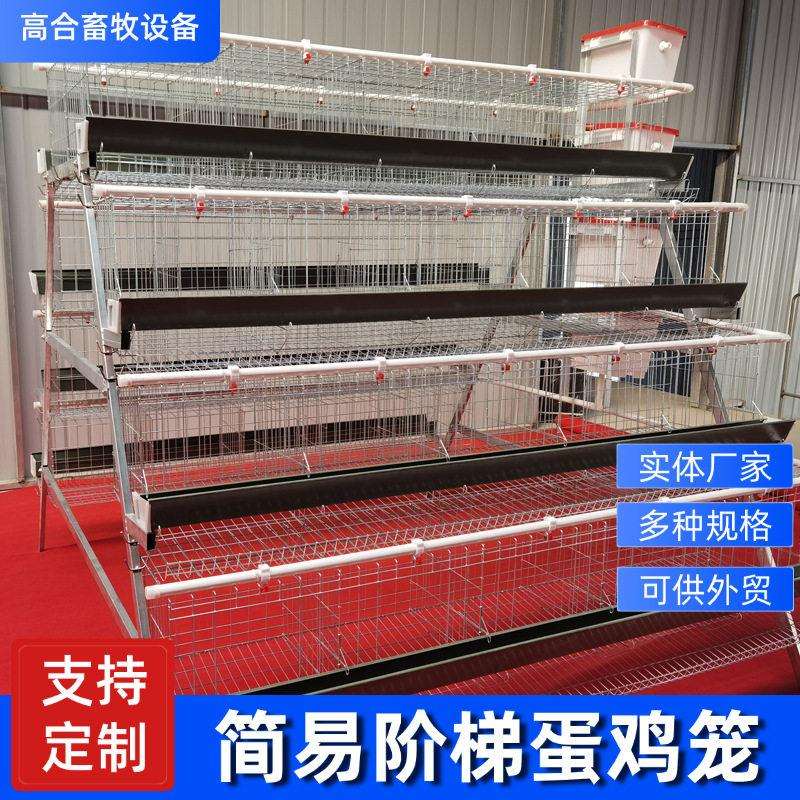 方管阶梯蛋鸡笼四层五门白槽绿槽养鸡场用鸡笼子热镀锌多层鸡笼