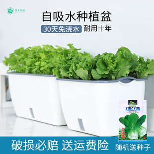 阳台种菜懒人花盆室内家庭w自吸水塑料长方形植物花卉种植箱盆栽