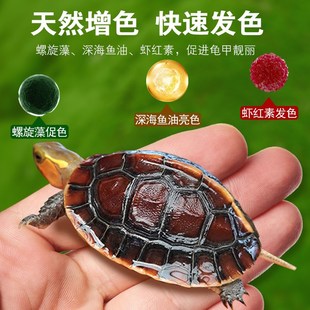 龟粮黄缘龟饲料黄缘盒龟专用乌龟饲料黄I缘闭壳龟安缘台缘发色龟