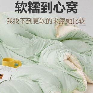 四季 通用被子春秋被被芯空调被冬B被学生宿舍单人儿童双人家用棉