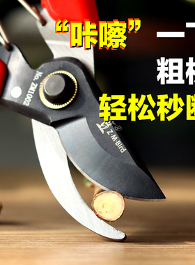 园艺修枝剪家用果树剪修花修枝花艺剪刀细枝剪Q盆景造型花剪子工