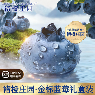 褚橙庄园旗舰店 金标蓝莓鲜果花香大果脆甜新鲜高山水果当季现摘