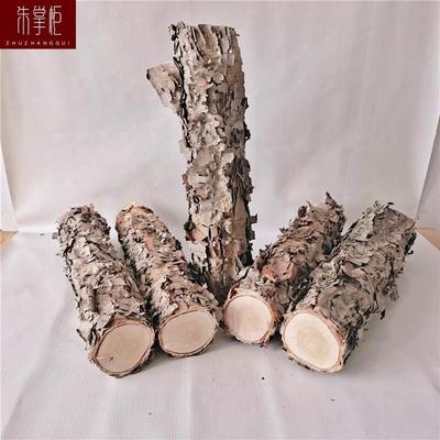 铁桦木铁桦树桦木原木铁桦原木装饰树隔断橱窗隔断湿木料