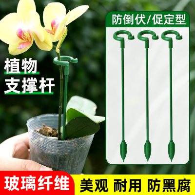 植物固定防倒伏花架子园艺支撑单杆室外花园月季爬藤蝴蝶兰花支架