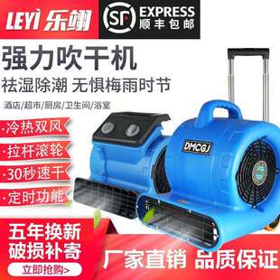 冷热风吹地机大功率商用小型低噪音家用吹干机除湿卫生间大风风机