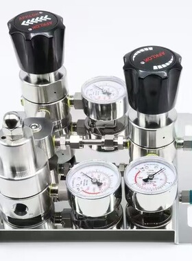 WR1100简配不带隔膜阀吹扫 自动切换系统 316L一用一备 25*0.6MPa