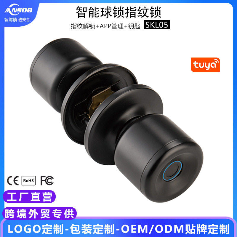 智能球锁房门指纹锁TTLock酒店锁涂鸦蓝牙公寓锁家用卧室锁跨境