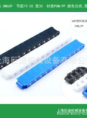 上海厂家供应腐蚀输送工程链条 RS60P蓝色 PP材质聚丙烯输送链条