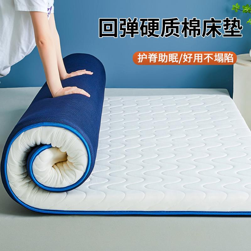 抗压床垫可回弹不塌陷硬质棉软垫家用榻榻米学生宿舍租房专用垫子