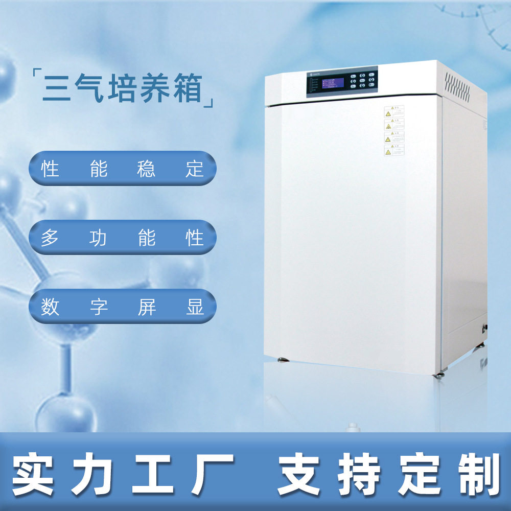 直热式三气培养箱恒温恒湿可调