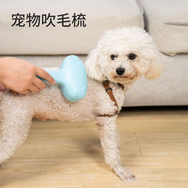 宠物吹风机梳子吹毛梳金毛布偶按摩梳两档调节梳头清洁宠物猫狗刷