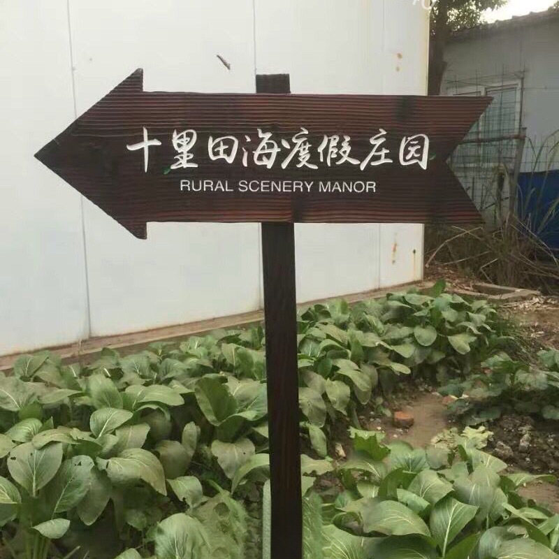 户外防腐木广告牌指示牌立式箭头指路牌实木景区宣传栏匾额花草牌