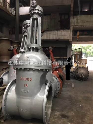 Z541H-16C大口径伞齿轮法兰闸阀 伞齿轮闸阀 法兰硬密封 手动闸阀