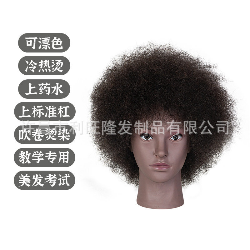 非洲脸型全真人发模特头爆炸头学徒练习修剪教习头羊毛卷美发专用
