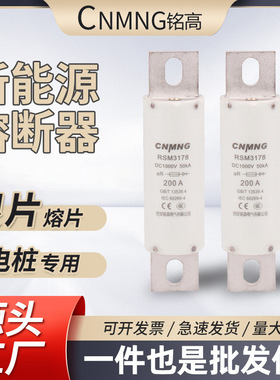 充电桩熔断器RSM3178(RS309)/DC1000V200A新能源电动汽车直流FWP