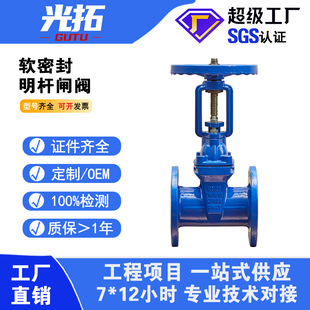 弹性座封水系统闸阀 16Q 工厂直供 铸铁法兰明杆闸阀Z41X